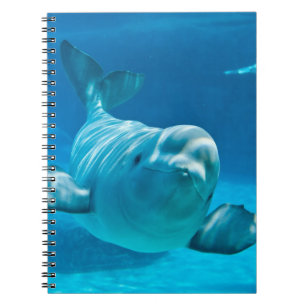 Caderno Espiral Baleia da beluga