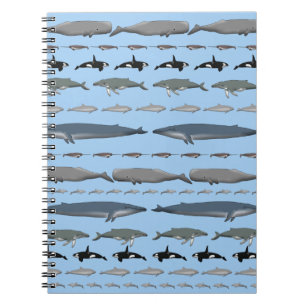 Caderno Espiral Baleias
