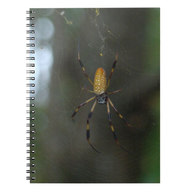 Caderno Espiral Banana Spider (Frente)