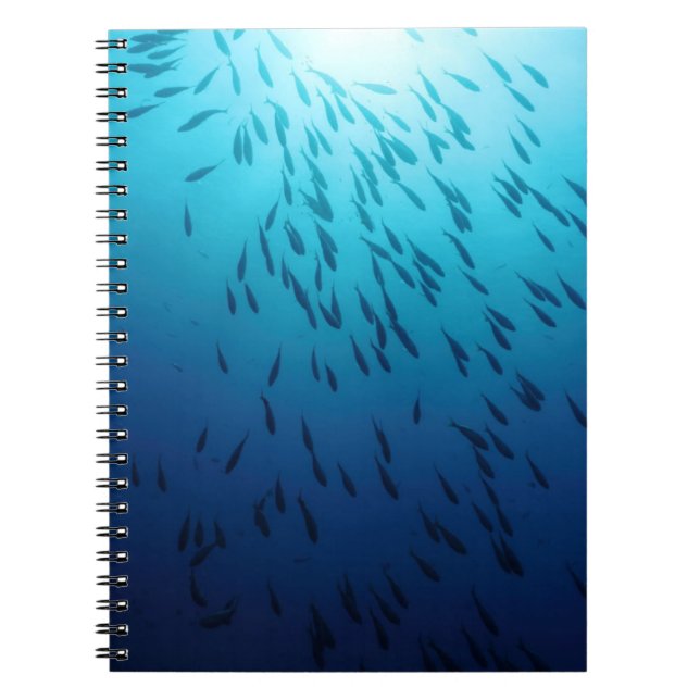 Caderno Espiral Banco de areia dos peixes (Frente)