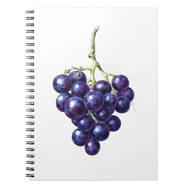 Caderno Espiral Bando de Uvas (Frente)