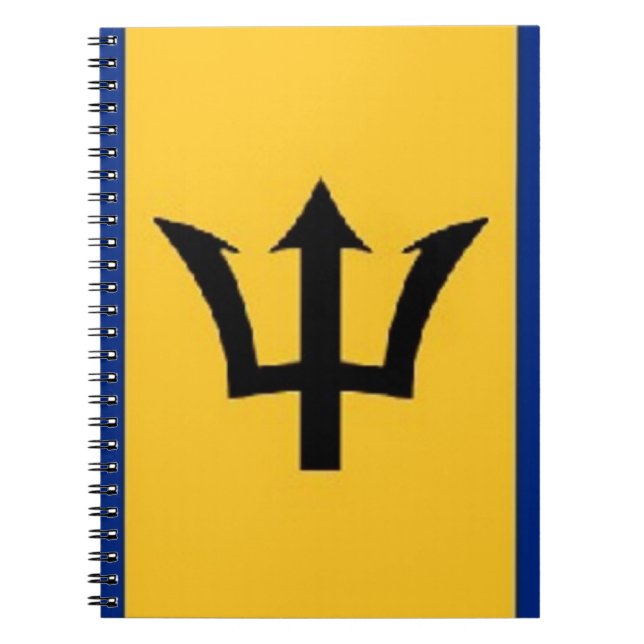 Caderno Espiral bárbaros fabulosos (Frente)
