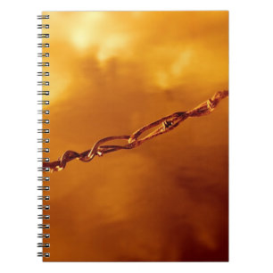 Caderno Espiral Barbed Wire Fugue