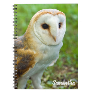 Caderno Espiral Barn Owl Spiral notebook