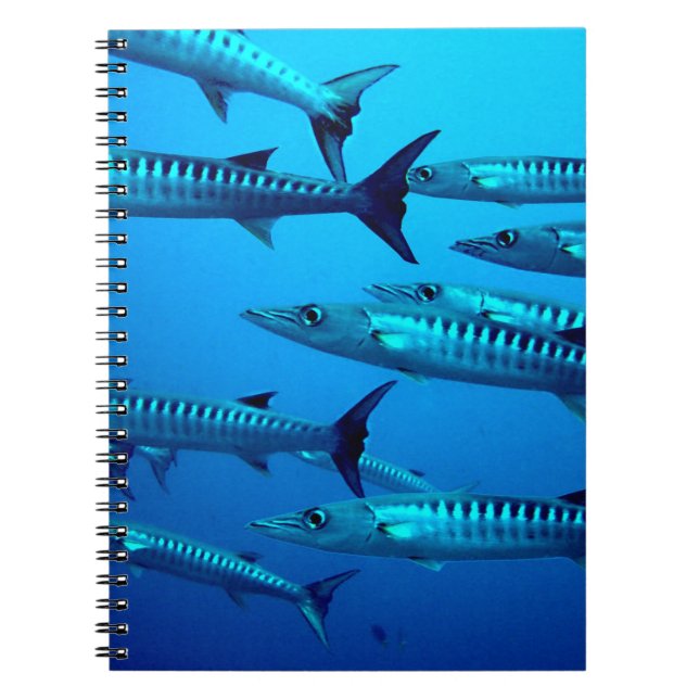 Caderno Espiral Barracudas (Frente)