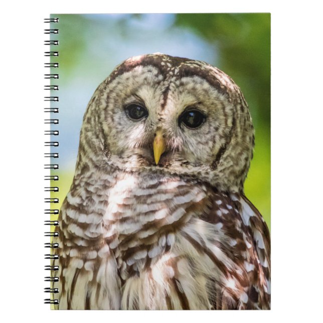 Caderno Espiral Barred Owl (Frente)
