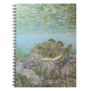 Caderno Espiral Bass