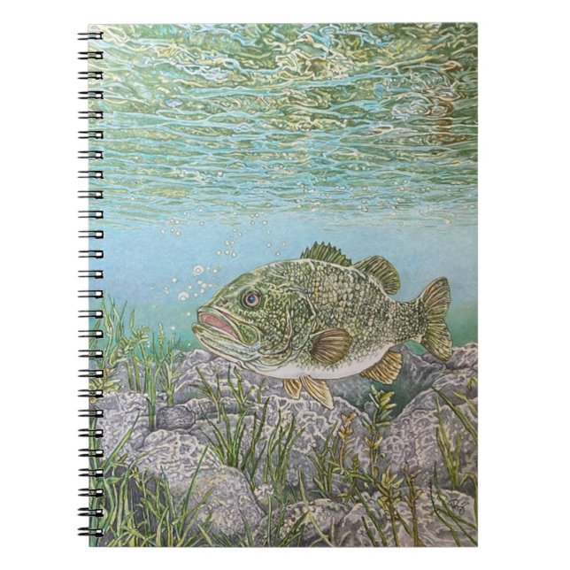 Caderno Espiral Bass  (Frente)