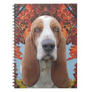 Caderno Espiral Basset Hound