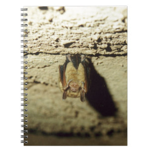 Caderno Espiral Bastão
