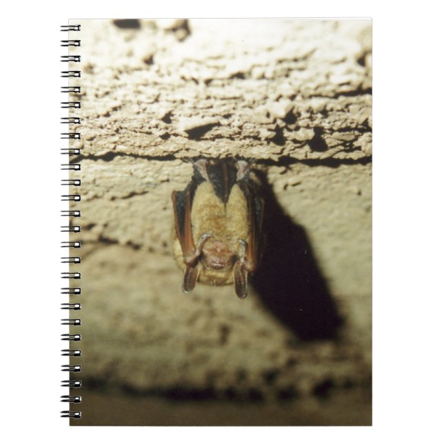 Caderno Espiral Bat (Frente)