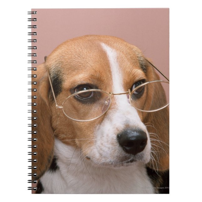 Caderno Espiral Beagle (Frente)