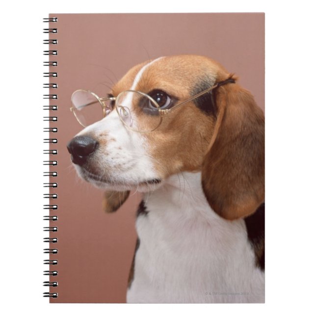 Caderno Espiral Beagle (Frente)