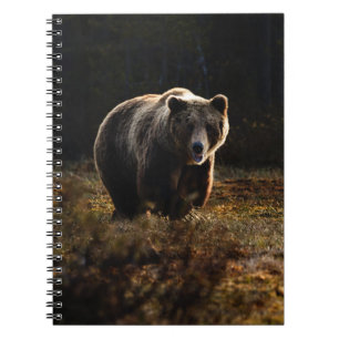 Caderno Espiral Bear Notebook