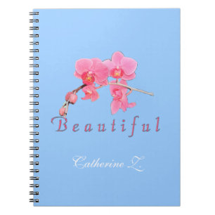 Caderno Espiral Beautiful pink orchid flowers in blue background.