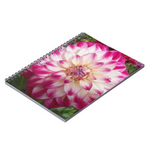 Caderno Espiral Beaux