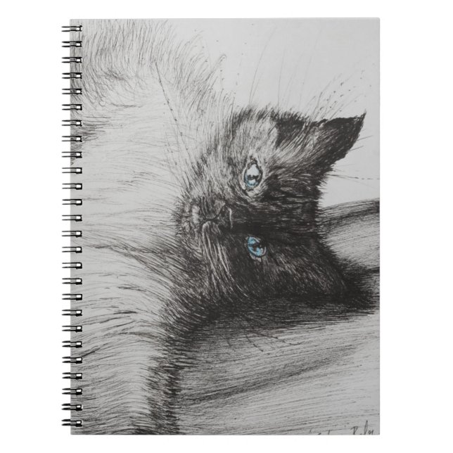 Caderno Espiral Bebê insolente (Frente)