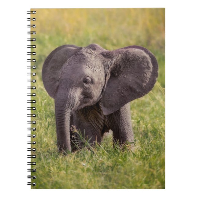Caderno Espiral Bebês Mais Pobres | Baby Elephant Kenya Africa (Frente)