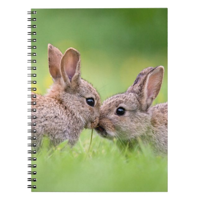 Caderno Espiral Bebês Mais Pobres | Bunny Kiss (Frente)