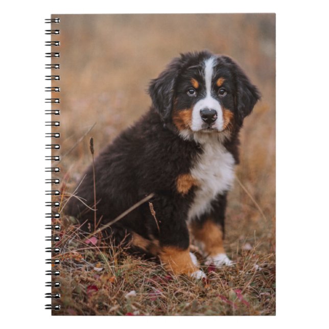 Caderno Espiral Bebês Mais Pobres | Cachorro de Montanha Bernese (Frente)