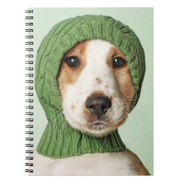 Caderno Espiral Bebês Mais Pobres | Cocker Spaniel Puppy (Frente)