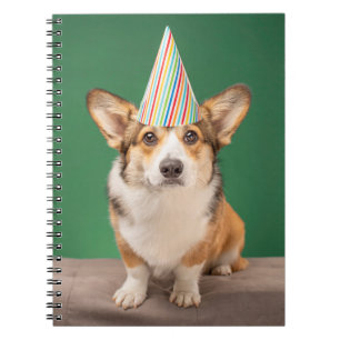 Caderno Espiral Bebês Mais Pobres Corgi Birthday Puppy