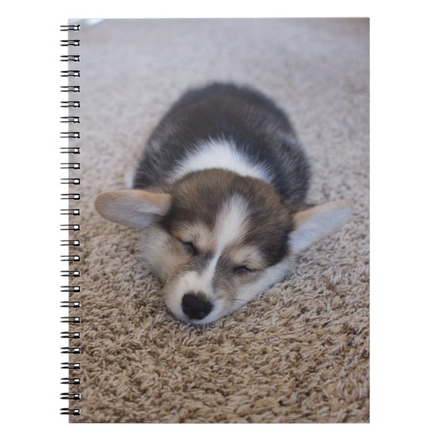 Caderno Espiral Bebês Mais Pobres | Corgi Puppy em Shag Rug (Frente)