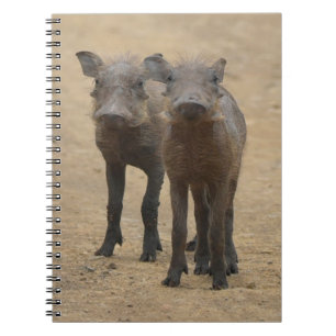 Caderno Espiral Bebês Mais Pobres Dois Jovens Warthogs