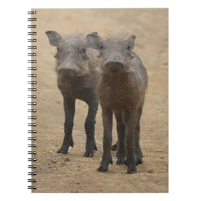 Caderno Espiral Bebês Mais Pobres | Dois Jovens Warthogs (Frente)