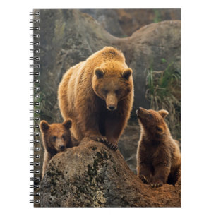 Caderno Espiral Bebês Mais Pobres Família Brown Bear