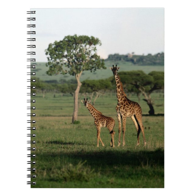 Caderno Espiral Bebês Mais Pobres | Giraffe Calf & Mama (Frente)