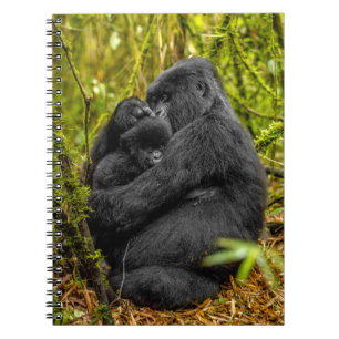 Caderno Espiral Bebês Mais Pobres Gorilla & Baby