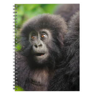 Caderno Espiral Bebês Mais Pobres Jovens Montanhas Gorilla