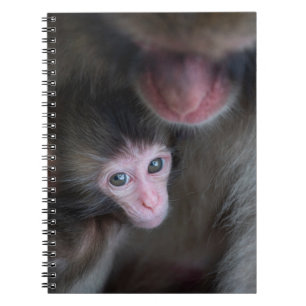Caderno Espiral Bebês Mais Pobres   Macaco Baby Macaque e Mãe
