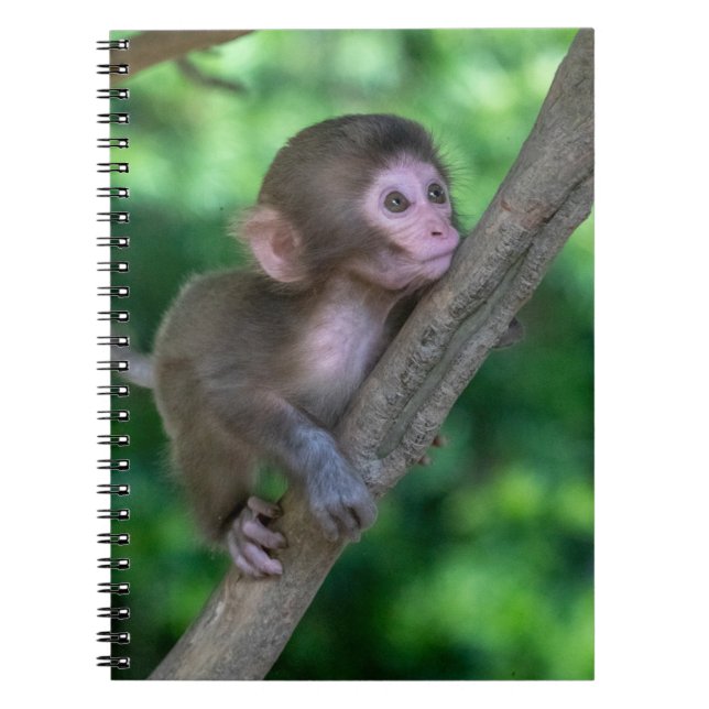 Caderno Espiral Bebês Mais Pobres | Macaco Bebê (Frente)