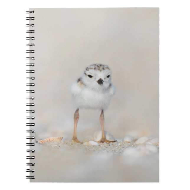 Caderno Espiral Bebês Mais Pobres | Pintinho de Pragas (Frente)