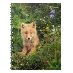 Caderno Espiral Bebês Mais Pobres Red Fox em Umnak Alaska