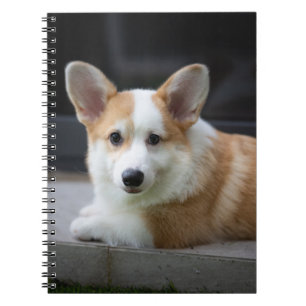 Caderno Espiral Bebês Mais Pobres Relaxamento do Corgi Puppy