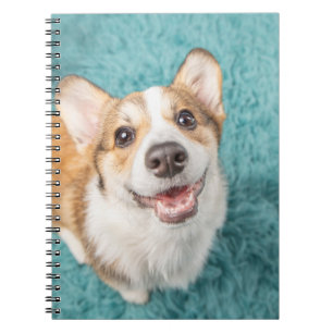 Caderno Espiral Bebês Mais Pobres   Sorriso De Puppy Corgi