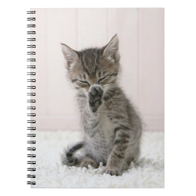 Caderno Espiral Bebês Mais Pobres | Tabby Kitten De Licença (Frente)