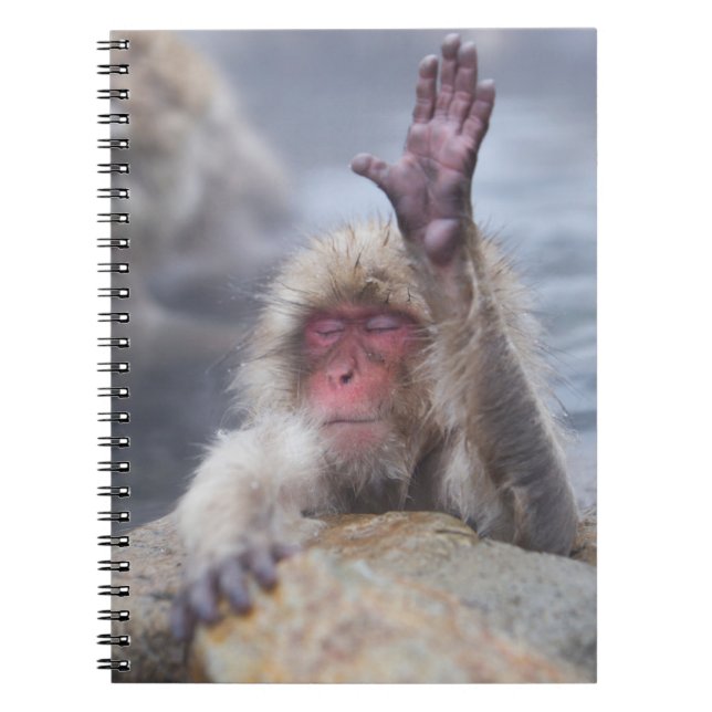 Caderno Espiral Bebês Mais Pobres | Tecido macaco-neve (Frente)