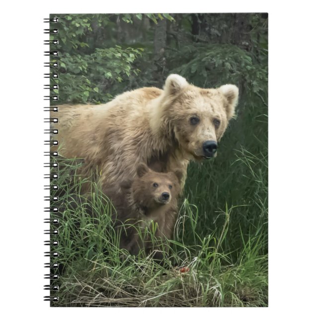 Caderno Espiral Bebês Mais Pobres | Urso-Da-Mama E Cubos (Frente)