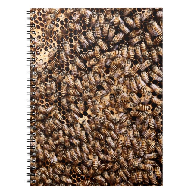 CADERNO ESPIRAL BEEHIVE (Frente)