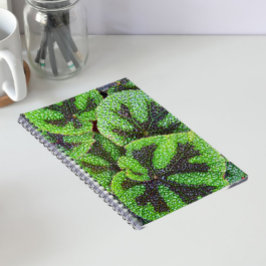 Caderno Espiral Begônia Cruz de Ferro Floral