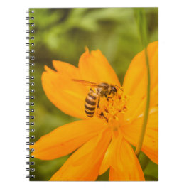 Caderno Espiral Beija-flor abelhão em um Cosmos de Enxofre