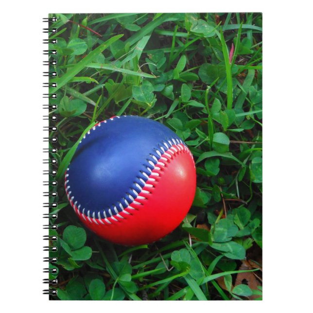 Caderno Espiral Beisebol Vermelho e Azul com Pintura Branca (Frente)
