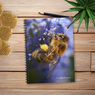 Caderno Espiral Bela Abelha de Honeybee no Lilac da Califórnia