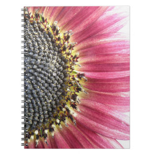 Caderno Espiral Bela Boca-Sol, Rosa