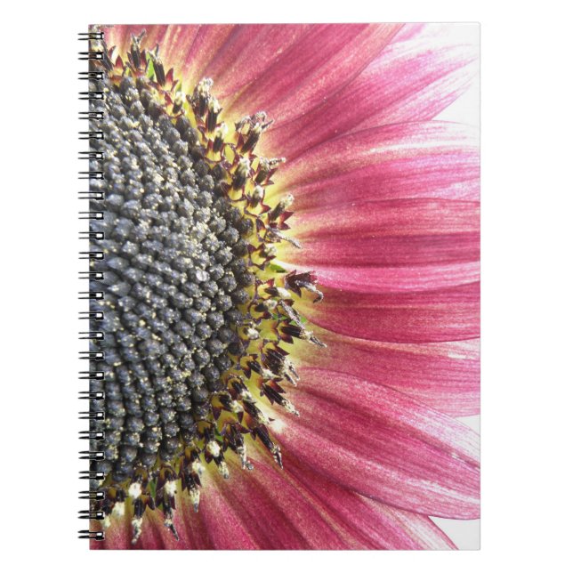 Caderno Espiral Bela Boca-Sol, Rosa (Frente)