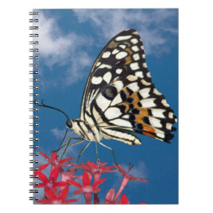 Caderno Espiral Bela Borboleta